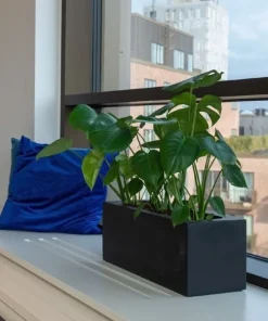Aflang matsort eller matgrå plantekasse til vinduer - L.40 + L.50 + L.60cm