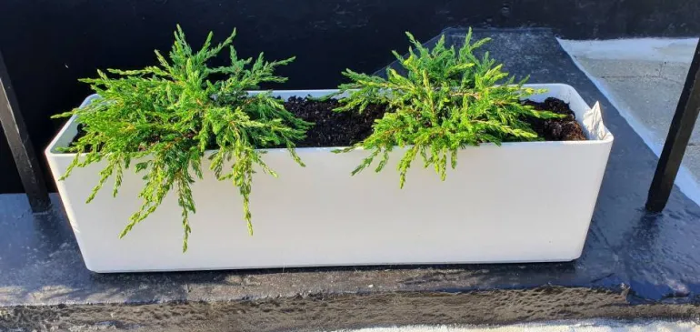 Aflang Smal hvid Plantekrukke med struktur - 80cm