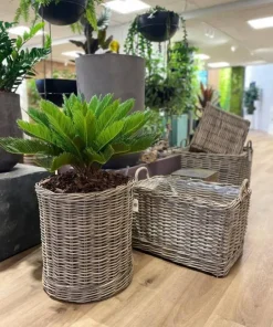 Aflange rattan krukker med hjul - L.60cm + L.70cm