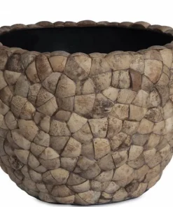 Ø.80cm stor indendørs krukke med Coconut skaller