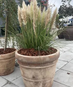 Croda Rossa Terracotta Krukke Ø.29 + Ø.38 + Ø.50 / SÆT 3 stk