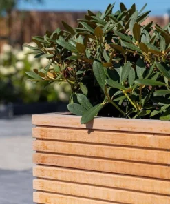 Firkantede krukker i hardwood / Rhombus