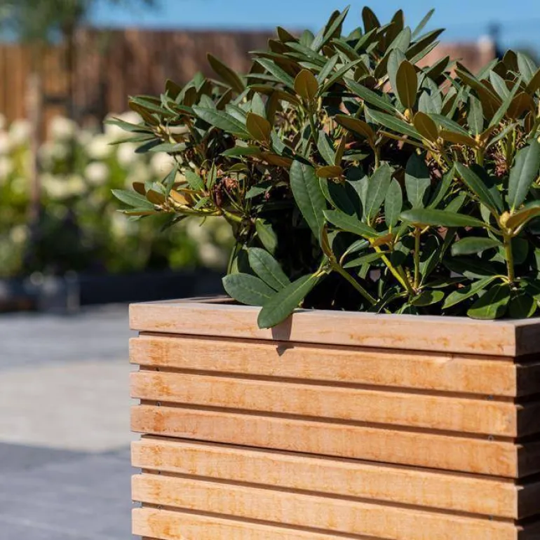 Firkantede krukker i hardwood / Rhombus