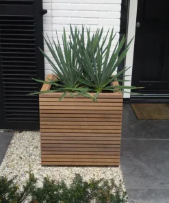 Firkantede krukker i hardwood / Rhombus