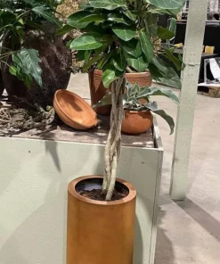 Høj cylinder krukke i corten stål rust - H.60cm + H.80cm