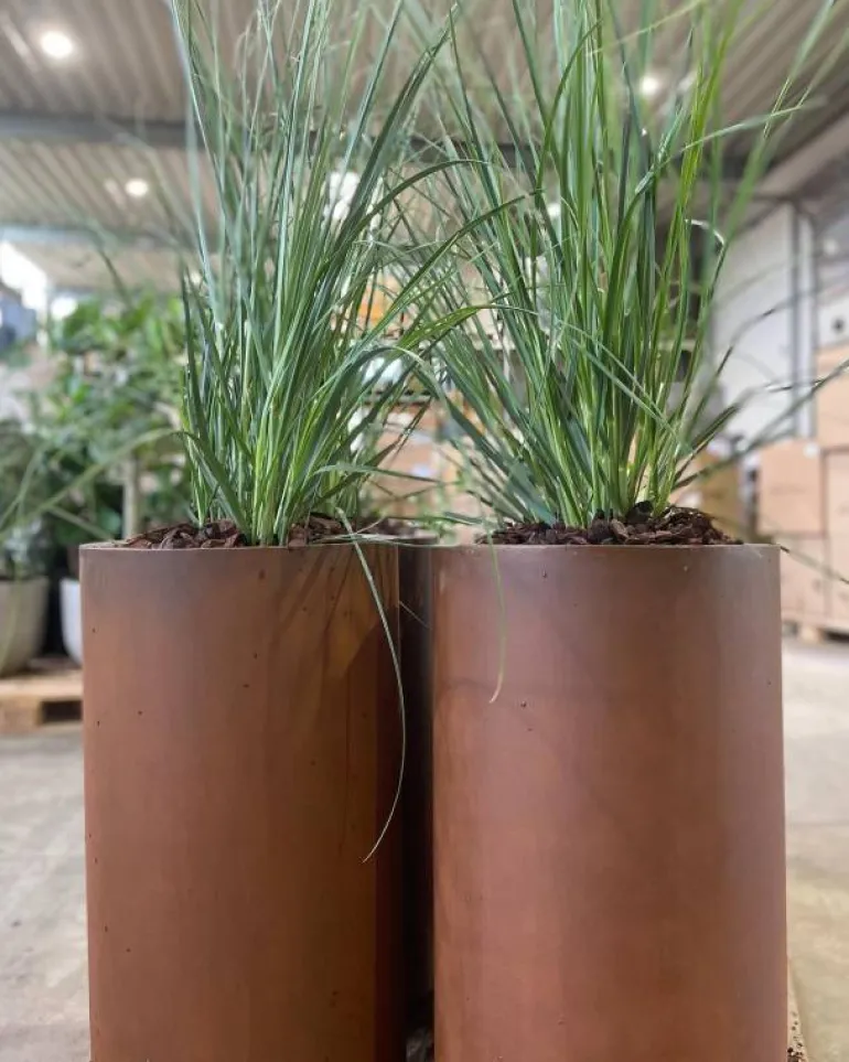 Høj cylinder krukke i corten stål rust - H.60cm + H.80cm