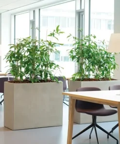 Høje aflange indendørs plantekummer - sort eller sand - VANDTÆTTE - 2 størrelser.