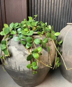 Håndlavet Vintage krukke i keramik - H.43xØ.47cm