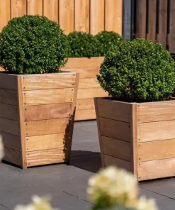 Konisk krukke i hardwood