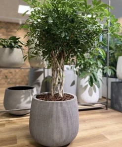 Krukke i Fiberstone med lodrette riller - 2 str - hvid antik eller Grå