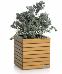 Krukker i Eukalyptus Træ Med Selvvanding - M/U Hjul