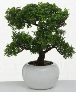 Kunstige Bonsai træer i keramik potte - kasse med 4stk