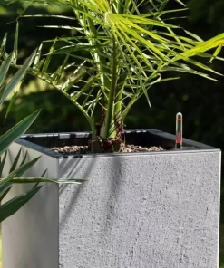 Lechuza Canto Slatestone skifer look Lav - 30x30 + 40x40 - Grafit eller Grå