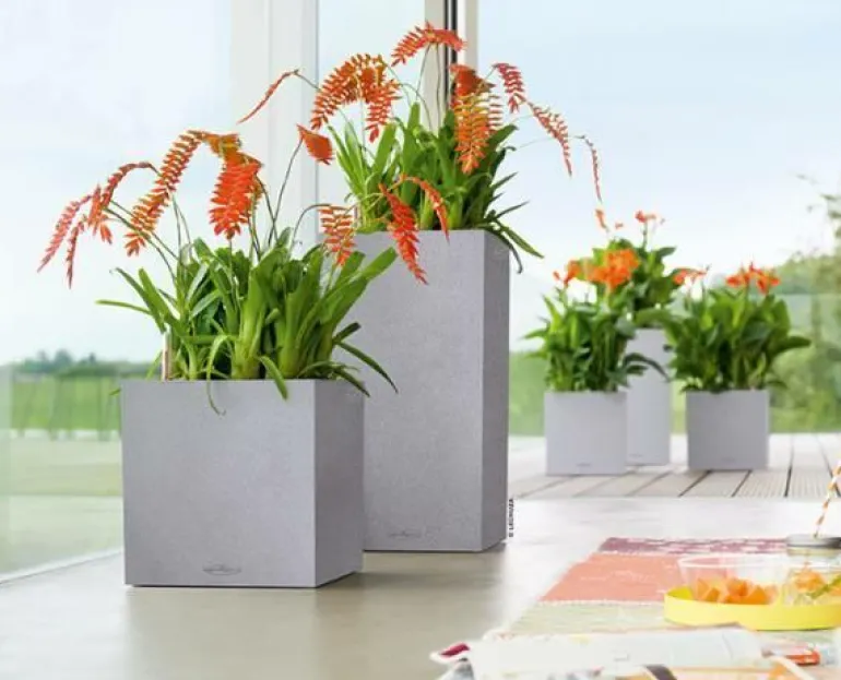 Lechuza Canto Stone Struktur Lav - 30x30 + 40x40 - 4 farver - M/U Hjul