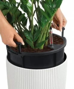 Lechuza Cilindro Color - krukker med selvvanding - 56cm - 3 farver