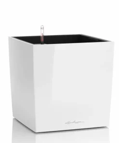 Lechuza Cube Premium med selvvanding - 30cm + 40cm + 50cm - 6 farver - M/U Hjul