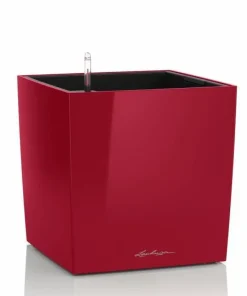 Lechuza Cube Premium med selvvanding - 30cm + 40cm + 50cm - 6 farver - M/U Hjul