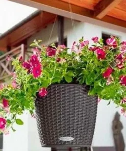 Lechuza Nido Cottage ampel med selvvanding