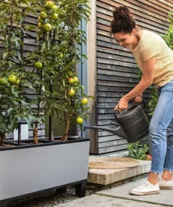 Lechuza plantekummer med selvvanding / NYE STONE FARVER