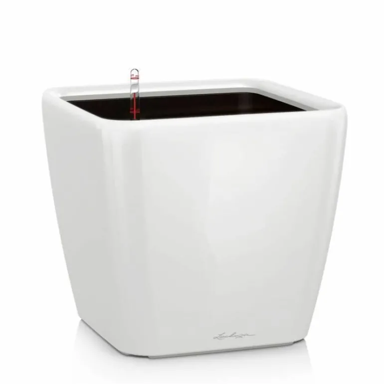 Lechuza Quadro krukker m/u hjul - Ø.35 + Ø.43 + Ø.50 - 6 farver - M/U Hjul