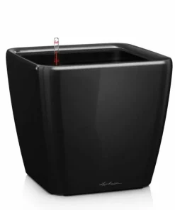 Lechuza Quadro krukker m/u hjul - Ø.35 + Ø.43 + Ø.50 - 6 farver - M/U Hjul