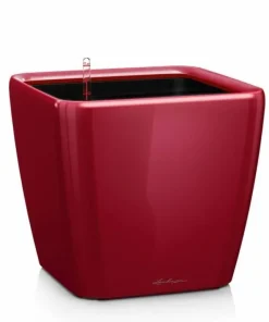 Lechuza Quadro krukker m/u hjul - Ø.35 + Ø.43 + Ø.50 - 6 farver - M/U Hjul