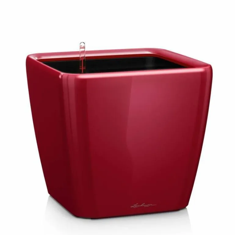 Lechuza Quadro krukker m/u hjul - Ø.35 + Ø.43 + Ø.50 - 6 farver - M/U Hjul