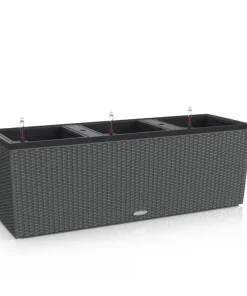 Lechuza Trio Cottage Plantekumme / sort-hvid-antrazit-mokka-sand-grå / 6 farver