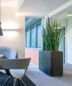 Matsort eller mathvid plantekumme / rumdeler med planteindsats og hjul - 4 størrelser