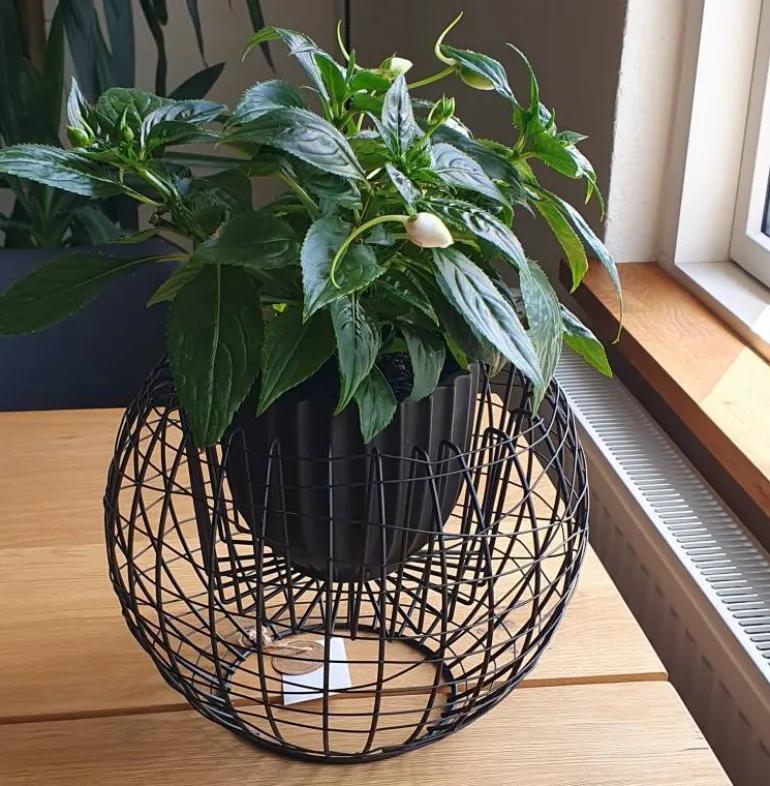 Potteskjuler i sort jern med jerntråde - Ø.26cm