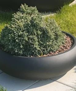 RESTSALG - Runde lave krukker i Fibercement - Ø.65cm / Ø.85cm