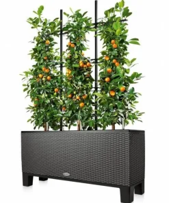 Sokkel eller Espalier til Lechuza Trio plantekumme