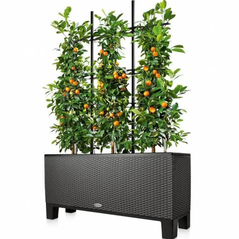 Sokkel eller Espalier til Lechuza Trio plantekumme