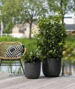 Sort glat Ball krukke smooth black - Livstidsgaranti