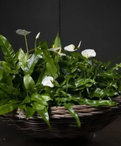 Stor dekorationsfad / rattanbakke i flettet rattan/pil - Ø.60cm