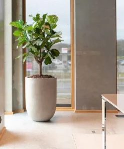 Stor indendørs rund krukke i fiberbeton - H.74 + H.90 - Cementlook - Topkvalitet