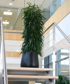 Stor konisk sort eller grå plantekrukke - 2 str.