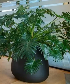 Stor konisk sort eller grå plantekrukke - 2 str.