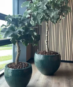Stor krukke i hammered metal - Ocean Green - 3 størrelser