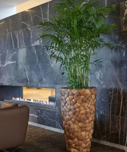 Store Høje indendørs Krukker med Coconut - 3str