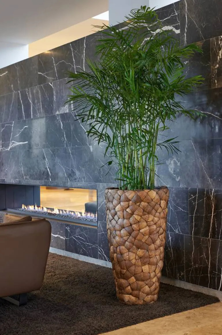 Store Høje indendørs Krukker med Coconut - 3str