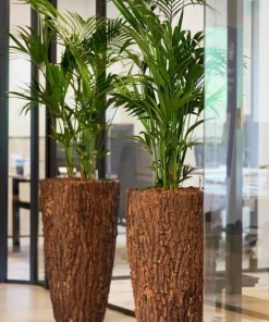 Store høje indendørs krukker med bark - 3 str