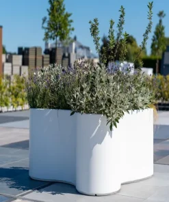 Store organic plantekasser i glasfiber - Udendørs + Indendørs