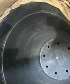 Store rattanpotter / pilepotter med indsats - Ø.55 - (Drypot)