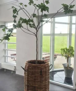 Store runde flettede rattan kurve / krukker - M/U Hjul