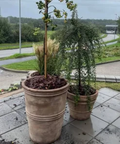 Terracotta krukker i sæt - 3stk i lys choko