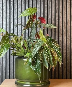Upcycled plantepotter i metal - Sæt med 3stk - Kastanje + Gråblå + Flaskegrøn