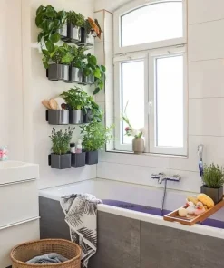Vægpotter med selvvanding / Lechuza Green Wall