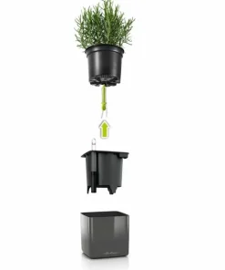 Vægpotter med selvvanding / Lechuza Green Wall