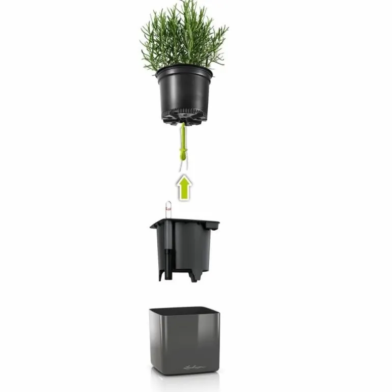 Vægpotter med selvvanding / Lechuza Green Wall